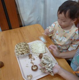 食材観察🍄ひよこ組🐣あひる組🦆りす組🐿