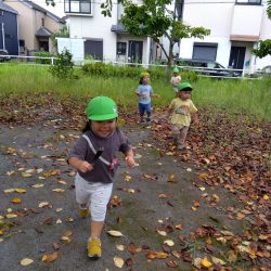 9月の様子